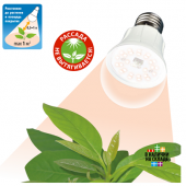 Светодиодная лампа для растений Uniel LED-A60-10W/SPFR/E27/CL PLP01WH полного спектра